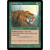 Stalking Tiger (Portal)