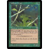 Willow Dryad (Portal)