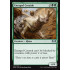 Enraged Ceratok (Ravnica Allegiance)