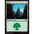 Forest (Ravnica Allegiance)