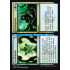 Incubation // Incongruity (Ravnica Allegiance)