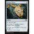 Orzhov Locket (Ravnica Allegiance)
