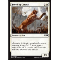 Prowling Caracal (Ravnica Allegiance)