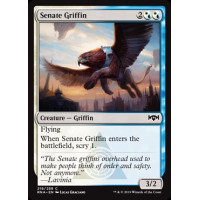 Senate Griffin (Ravnica Allegiance)