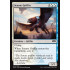 Senate Griffin (Ravnica Allegiance)