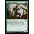 Silhana Wayfinder (Ravnica Allegiance)
