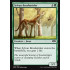 Sylvan Brushstrider (Ravnica Allegiance)