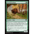Territorial Boar (Ravnica Allegiance)