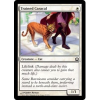 Trained Caracal (Return to Ravnica)