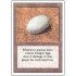 Dingus Egg (Revised Edition)