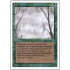 Fog (Revised Edition)