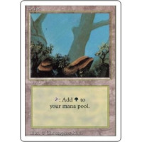 Forest v.3 (Revised Edition)