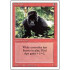 Kird Ape (Revised Edition)