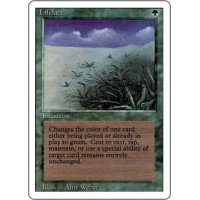 Lifelace (Revised Edition)