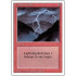 Lightning Bolt (Revised Edition)
