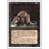 Plague Rats (Revised Edition)