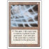 Soul Net (Revised Edition)