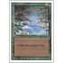 Stream of Life (Revised Edition)