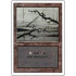 Swamp v.1 (Revised Edition) - Played