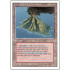 Volcanic Island (Revised Edition)