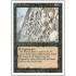 Wall of Bone (Revised Edition)