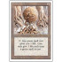 Wooden Sphere (Revised Edition)