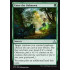 Enter the Unknown (Rivals of Ixalan)