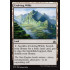 Evolving Wilds (Rivals of Ixalan)