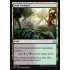Foul Orchard (Rivals of Ixalan)