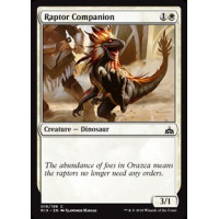 Raptor Companion (Rivals of Ixalan)