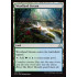 Woodland Stream (Rivals of Ixalan)
