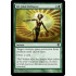 Tel-Jilad Defiance (Scars of Mirrodin)