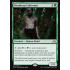 Deathcap Cultivator (Shadows over Innistrad)