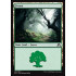 Forest v1 (Shadows over Innistrad)
