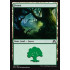 Forest v3 (Shadows over Innistrad)