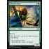 Gloomwidow (Shadows over Innistrad)