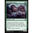 Thornhide Wolves (Shadows over Innistrad)