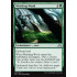 Weirding Wood (Shadows over Innistrad)