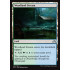 Woodland Stream (Shadows over Innistrad)