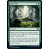 Field Trip (Strixhaven School of Mages)