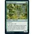 Overgrown Arch (Strixhaven School of Mages)