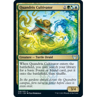 Quandrix Cultivator (Strixhaven School of Mages)