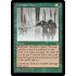 Constant Mists (Stronghold)