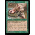 Spike Breeder (Stronghold)