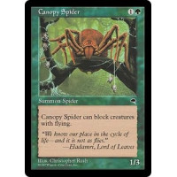 Canopy Spider (Tempest)