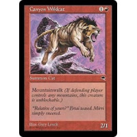 Canyon Wildcat (Tempest)