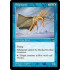 Fylamarid (Tempest)