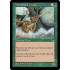 Heartwood Dryad (Tempest)