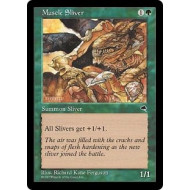 Muscle Sliver (Tempest)