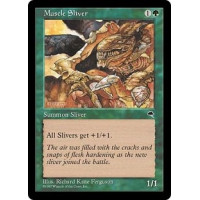 Muscle Sliver (Tempest)